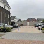 Rent 3 bedroom apartment of 81 m² in Aalst