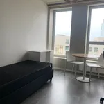 Huur 1 slaapkamer appartement in Antwerpen