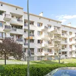 Appartement de 66 m² avec 3 chambre(s) en location à Suresnes