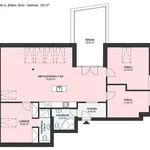 Rent 4 bedroom apartment of 110 m² in Brno