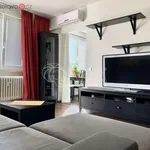 Rent 2 bedroom apartment of 48 m² in Brno