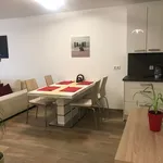 Miete 2 Schlafzimmer wohnung von 55 m² in Frankfurt am Main