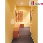 Rent 2 bedroom apartment of 70 m² in Prague