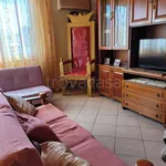 Rent 2 bedroom apartment of 40 m² in Paceco