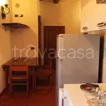 Rent 2 bedroom apartment of 52 m² in Castelnuovo Berardenga