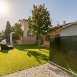 Rent 9 bedroom house of 120 m² in Pietrasanta