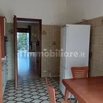 Rent 4 bedroom apartment of 122 m² in Cuneo