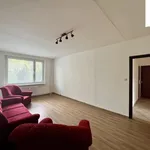 Rent 3 bedroom apartment of 75 m² in Brno