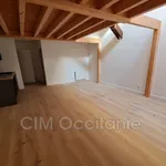 Appartement de 44 m² avec 2 chambre(s) en location à Toulouse