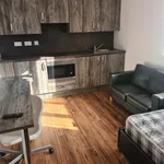 Rent 1 bedroom flat in Leicester