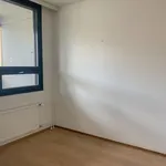 Vuokraa 3 makuuhuoneen asunto, 74 m² paikassa Helsinki