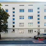 Rent 2 bedroom apartment of 53 m² in Poznan