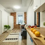 Rent 2 bedroom apartment of 25 m² in Łódź