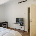 Rent 1 bedroom apartment of 32 m² in Bologna