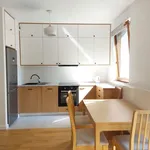 Rent 3 bedroom apartment of 63 m² in Warszawa