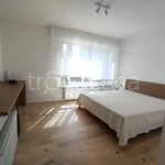 Rent 3 bedroom apartment of 63 m² in Udine