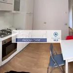 Rent 2 bedroom apartment of 62 m² in Padova