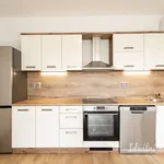 Rent 3 bedroom apartment of 59 m² in Prague