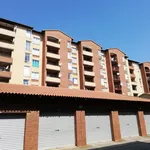 Rent a room of 39 m² in Pretoria