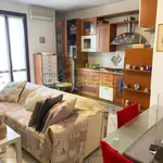 Rent 1 bedroom apartment of 55 m² in Castiraga Vidardo