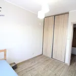 Rent 2 bedroom apartment of 48 m² in Toruń