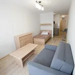 Rent 1 bedroom apartment of 35 m² in szczecin