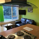 Rent 1 bedroom house in Sheffield