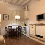 Rent 2 bedroom apartment of 50 m² in Firenze