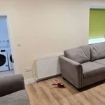 Rent 13 bedroom apartment in dublin