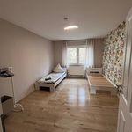 Rent 2 bedroom apartment of 55 m² in Wuppertal