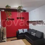 Rent 2 bedroom apartment of 45 m² in Bologna