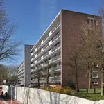 Huur 3 slaapkamer appartement van 70 m² in Tilburg