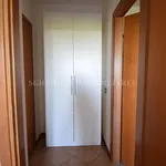 Rent 2 bedroom apartment of 71 m² in Bologna