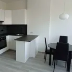 Rent 1 bedroom apartment in Antwerpen