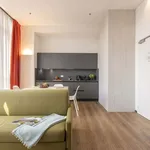 Rent 3 bedroom apartment in Venice