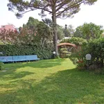 Appartamento in affitto a Sanremo c.So matuzia, giardino, riscaldamento autonomo, vista mare - TrovaCasa