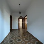 Rent 3 bedroom apartment of 110 m² in Monte Porzio Catone