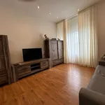 Rent 1 bedroom apartment in Antwerpen