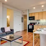 Rent 1 bedroom apartment in Chicago