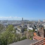 Rent 1 bedroom apartment of 33 m² in Le Havre