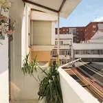 Rent 4 bedroom apartment in madrid