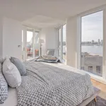 Rent 2 bedroom apartment in New York