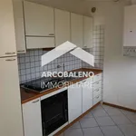 Rent 3 bedroom apartment of 75 m² in Trento