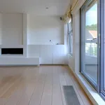 Rent 1 bedroom apartment of 238 m² in Waregem