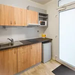 Rent 1 bedroom apartment in Brno