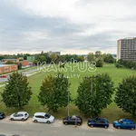 Rent 2 bedroom apartment of 43 m² in Ostrava