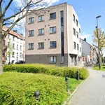 Rent 1 bedroom apartment in Sint-Amandsberg