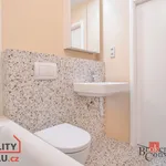 Rent 3 bedroom apartment in České Budějovice