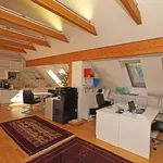 Miete 3 Schlafzimmer wohnung von 160 m² in Graz