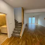 Rent 1 bedroom house of 355 m² in Ostrava